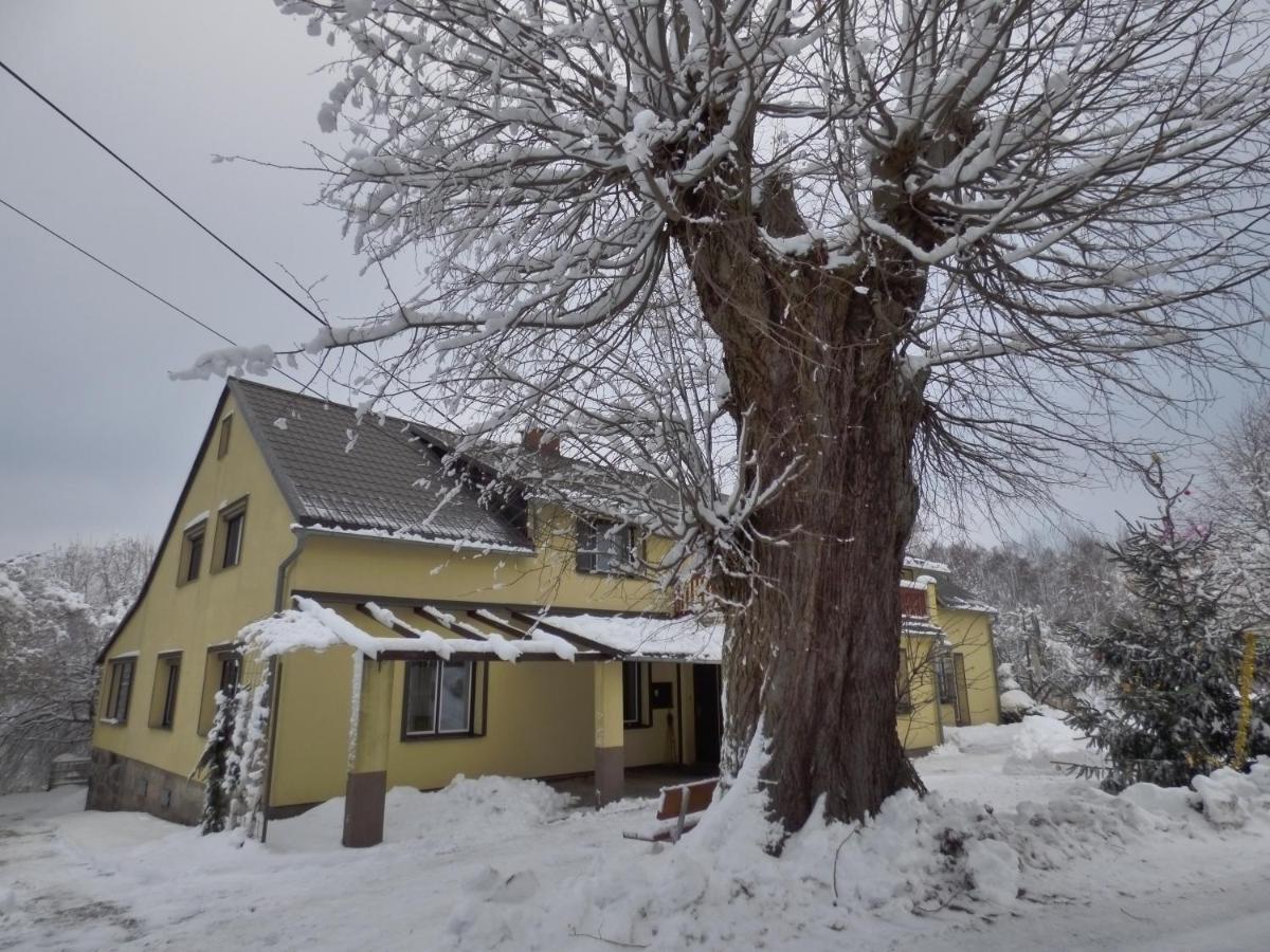 Na Kopci 84 Apartment Stare Krecany Bagian luar foto